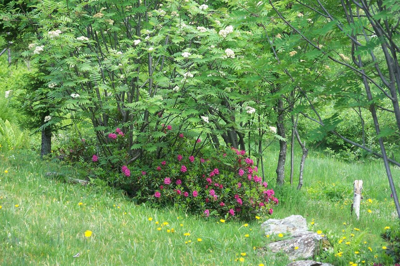 Agriturismo Cornei Da Nadia Konuk evi Collio Dış mekan fotoğraf